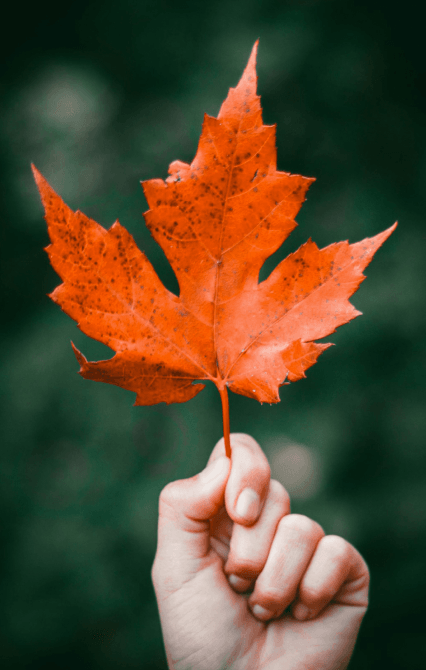 Image about Corporate Social Responsibility 