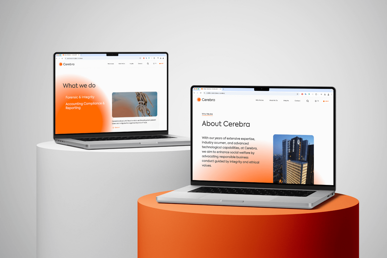 Web sitemizi yeniledik